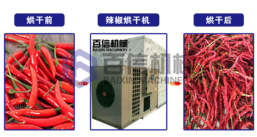 熱泵辣椒烘干機